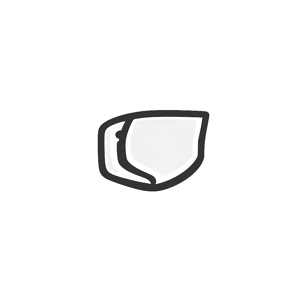 Visor System